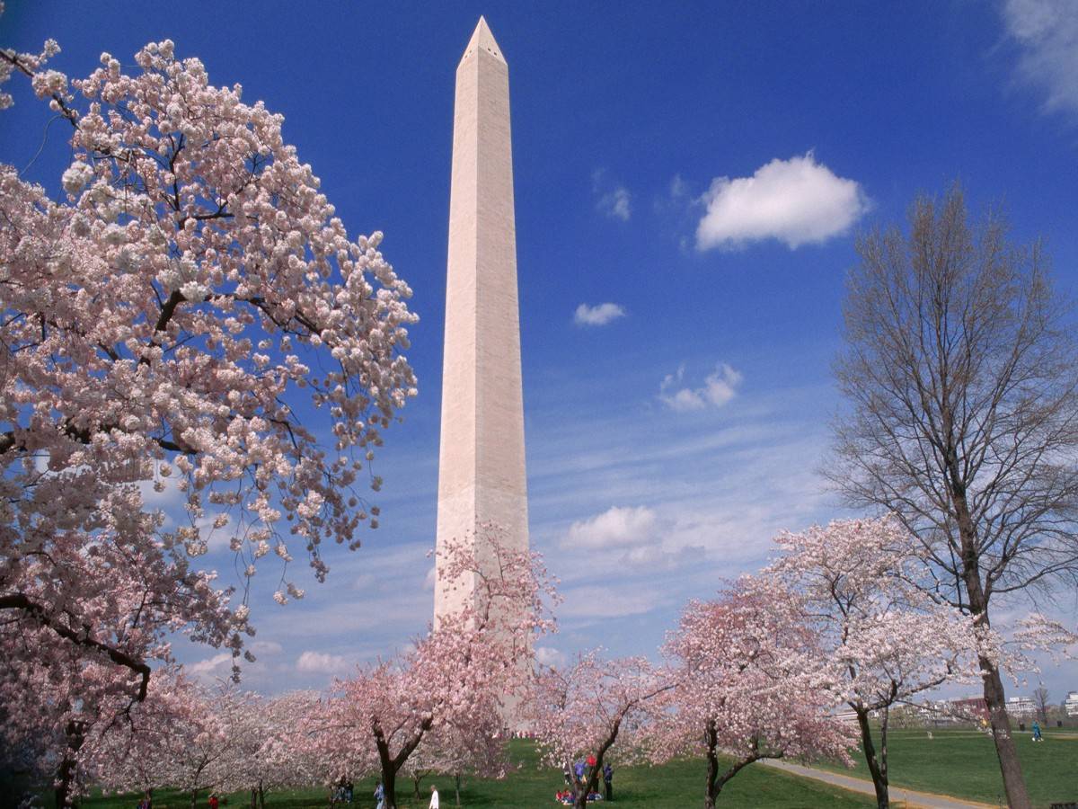 The history behind the monument