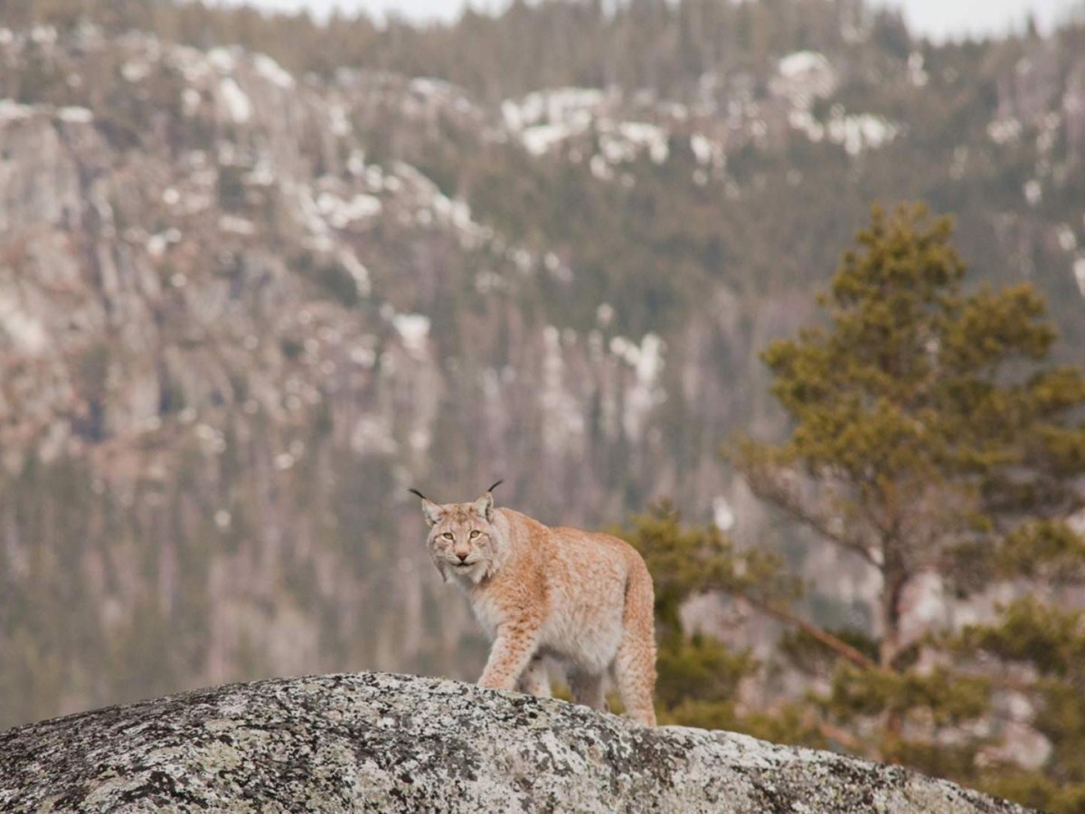 Ecological protection and education: not only viewing, but also learning and perception!