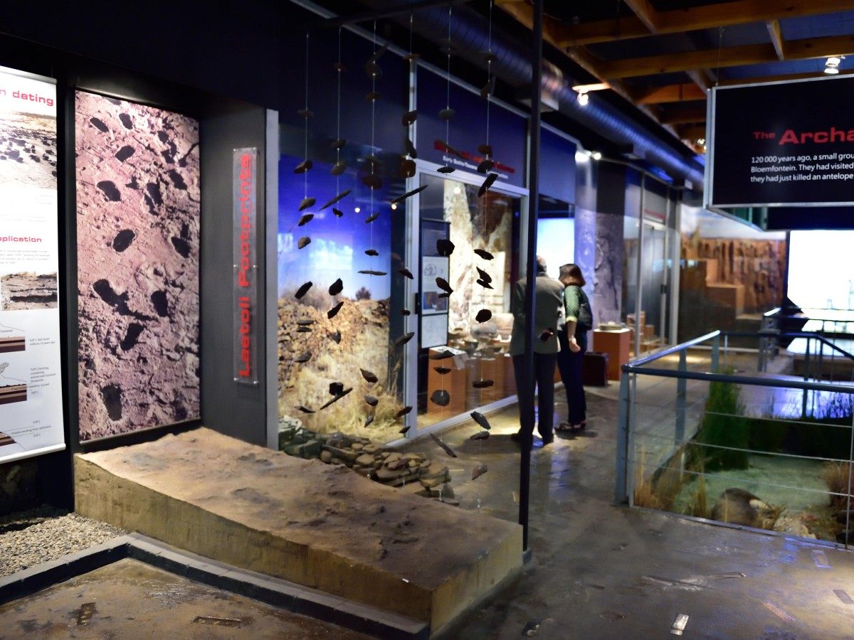 Must-see exhibits: the most magical "time travel" experience in history