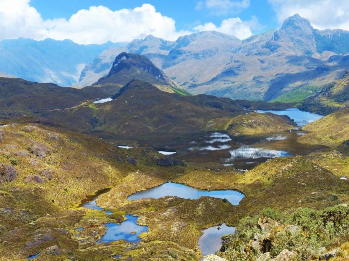 Laguna Toreadora trail: for beginners