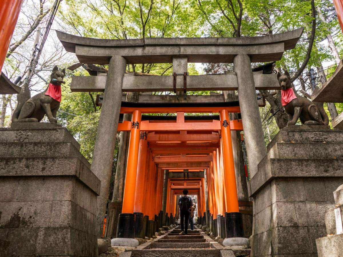 Best time and season to visit