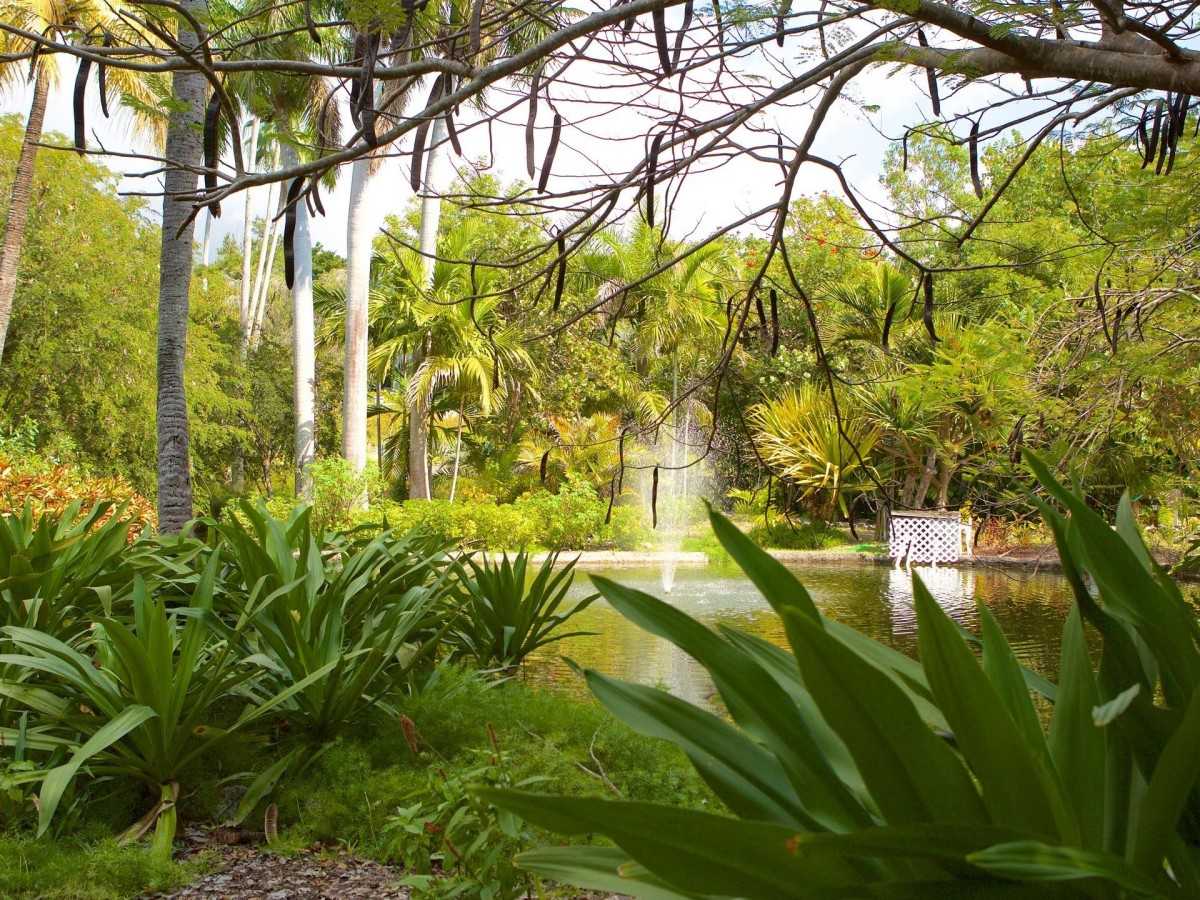 The Butterfly Garden