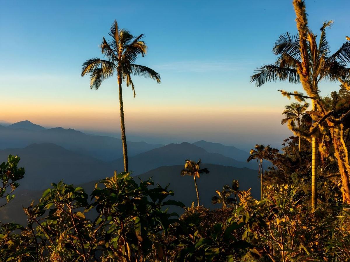 The Natural Environment of the Santa Marta Mountains