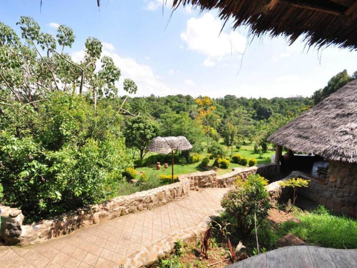 2. Africa on the tip of the tongue: from campfire barbecue to secret stews