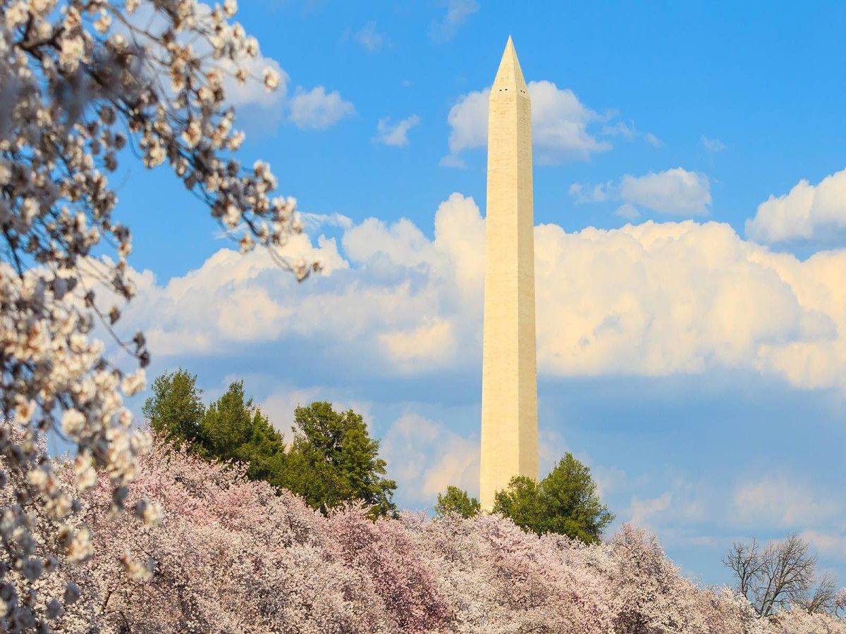 Climb to the top of the Washington Monument: A bird's eye view of the capital