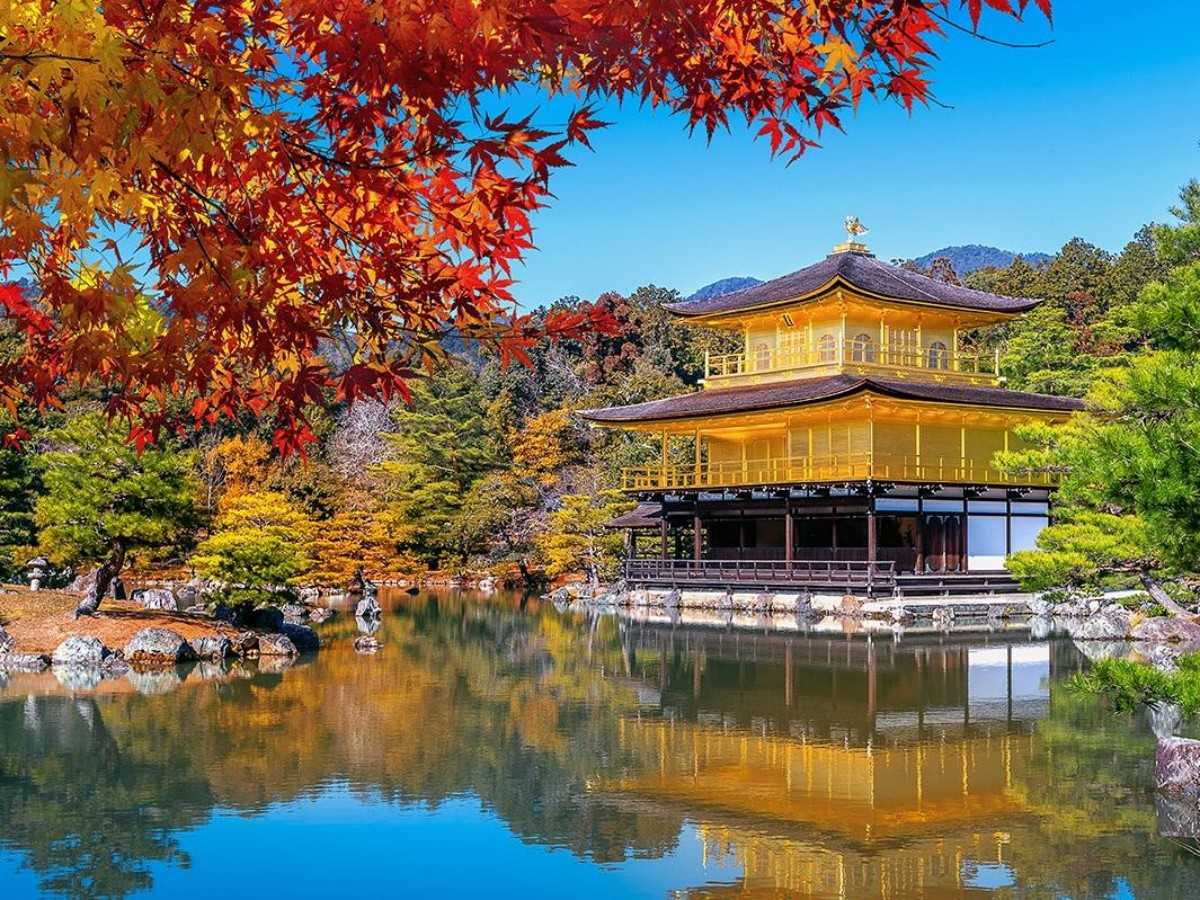 Visit Fuji-an and experience the Zen life