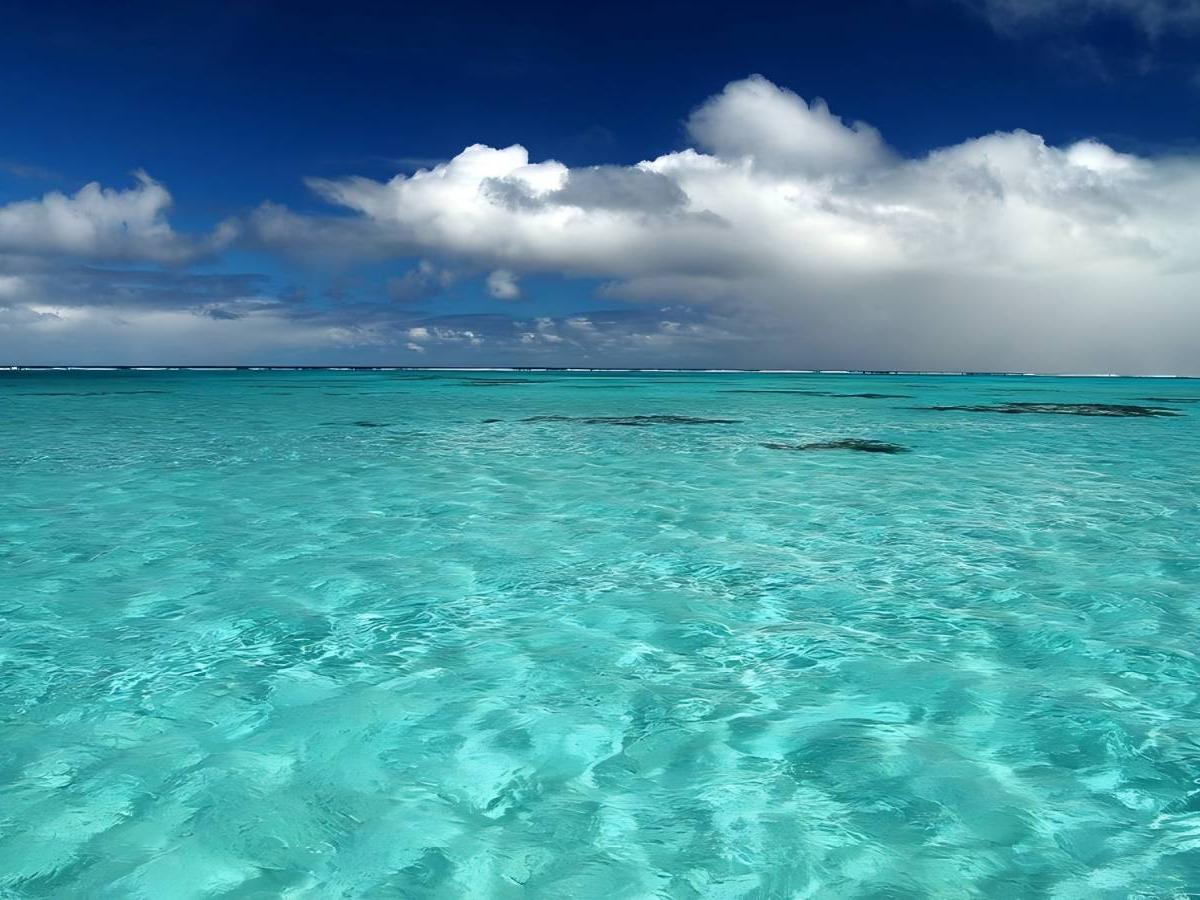 Lagoon Scenery: Nature's Gift of Beauty