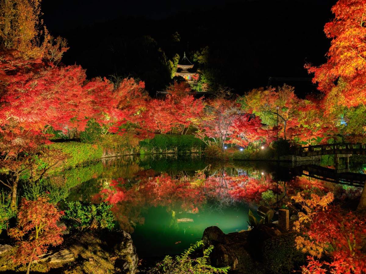 4. Autumn maple leaves are like fire: the best season for photography and meditation