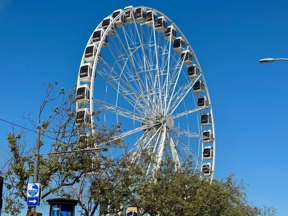 Amenities: Easy and hassle-free sightseeing