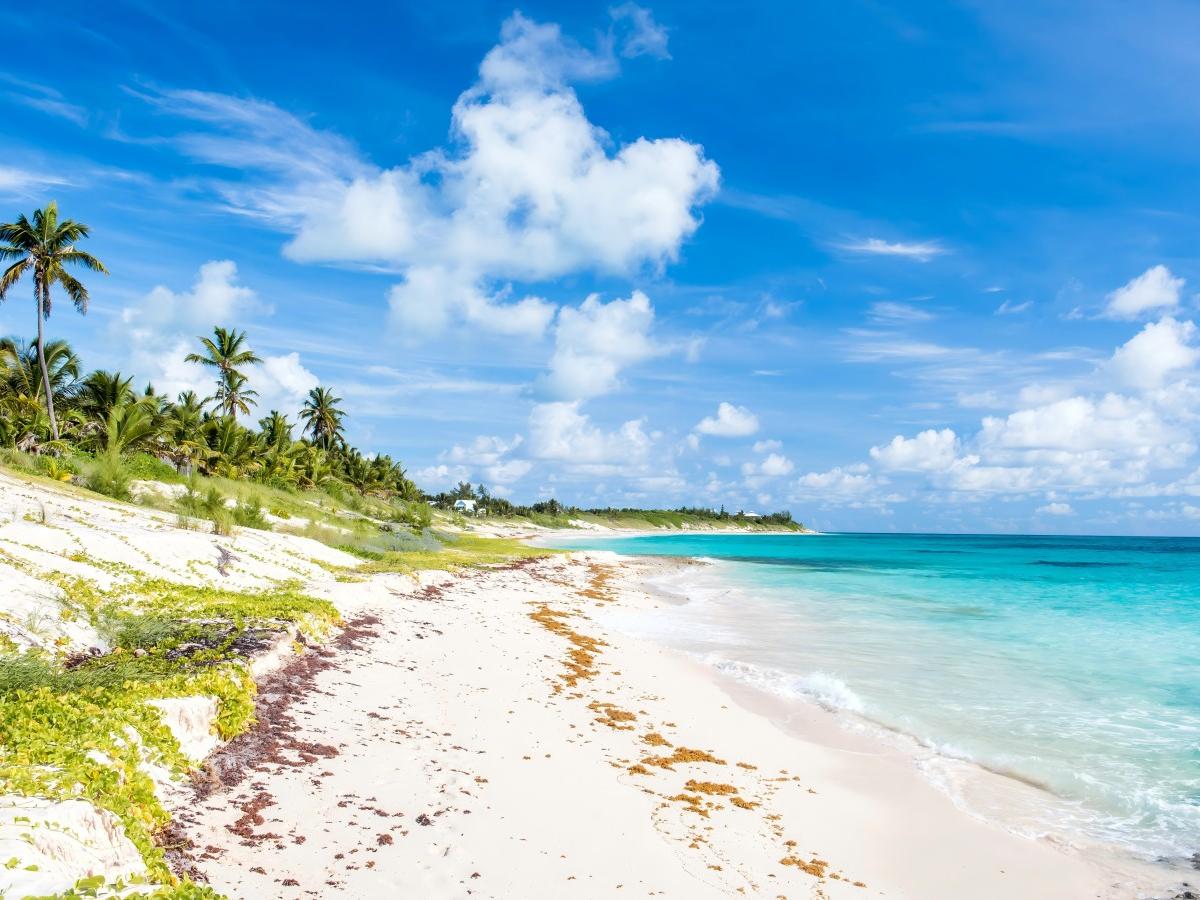 Fantastic beach views