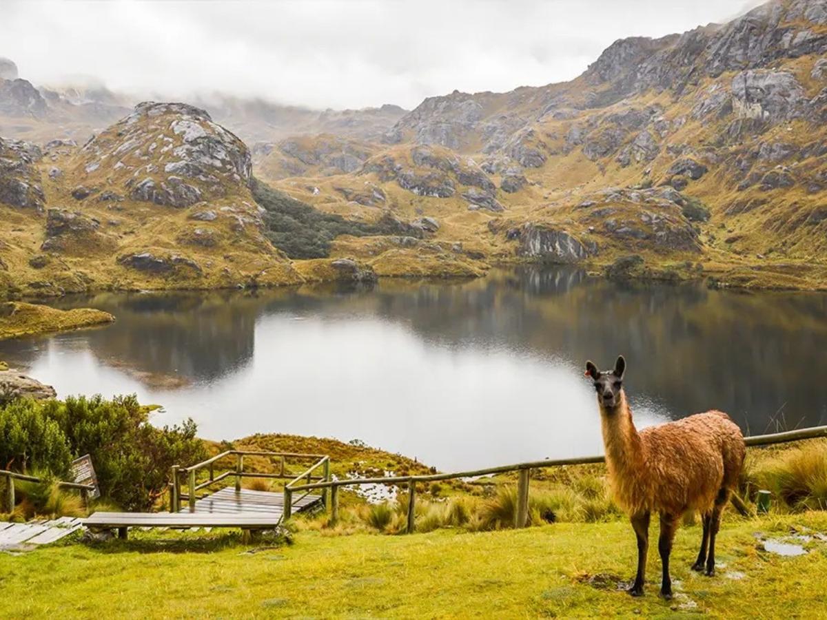 Challenging High Altitude Route: Through “Los Tres Cruces” to Laguna Luspa