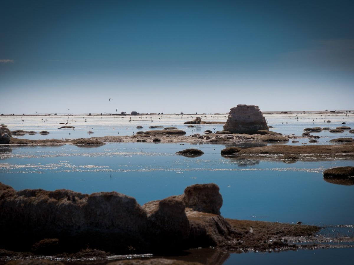 Mirror of the Sky: Fantastic Wonders in the Rainy Season