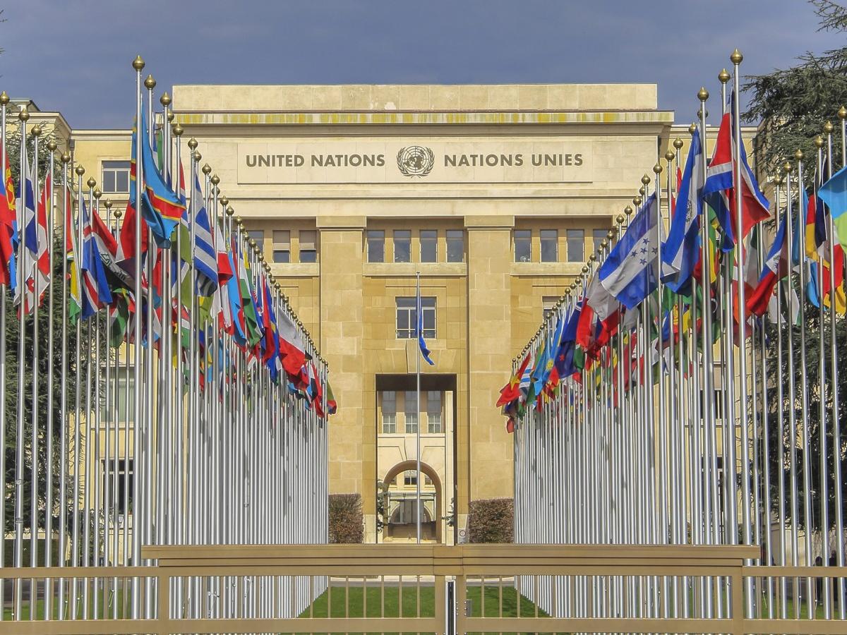 An immersive experience: a visit to the United Nations Office at Geneva