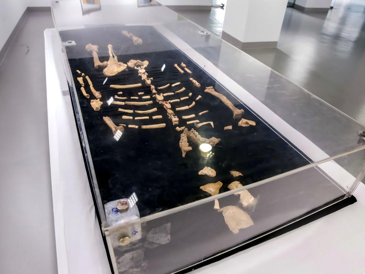 Must-see exhibits