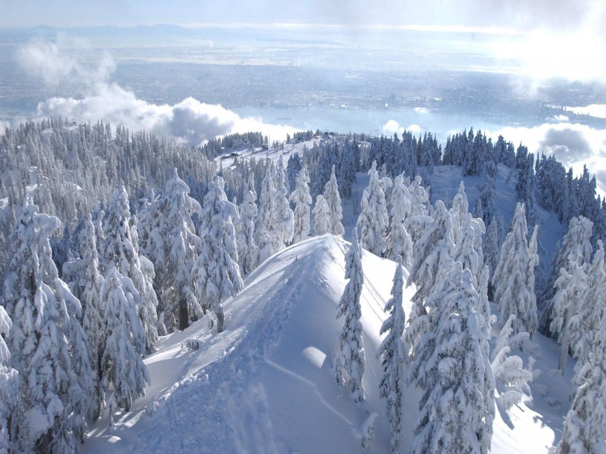 Second stop: Grouse Mountain has magnificent scenery in all seasons, and the secret place in the clouds is waiting for you to explore!